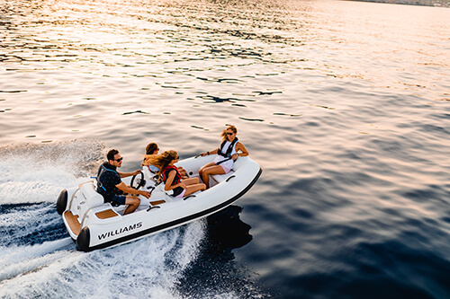 Williams Jet Tenders 325