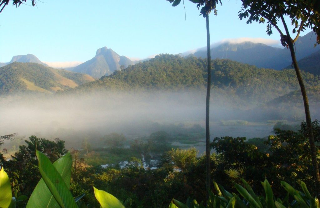 World Land Trust - India - World Land Trust