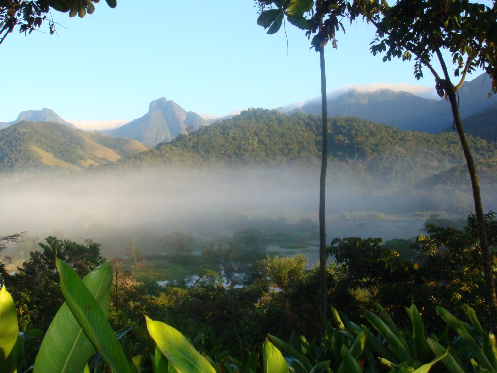 World land trust