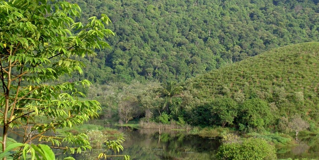 Flexiteek - World Land Trust - Brasil