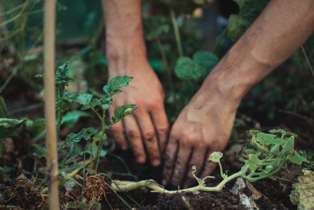Flexiteek - Bomen planten met The World Land Trust